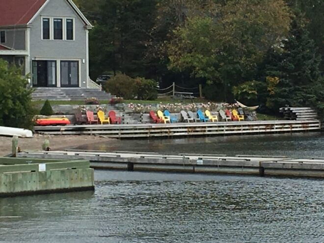 Sydney: Highland Village & Bell Museum Cruise Excursion - Customer Feedback and Ratings