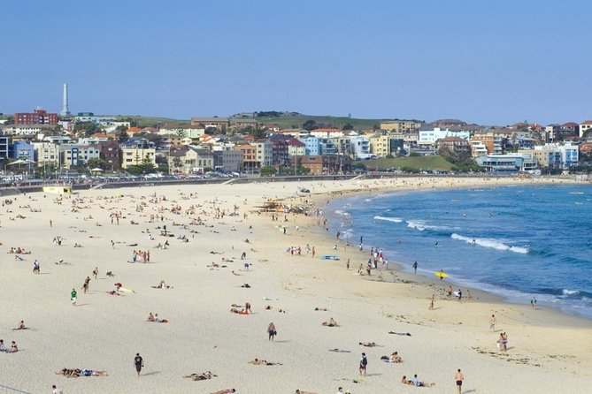 Sydney Highlights and Beaches Full Day Private Tour - Private Tour Experience