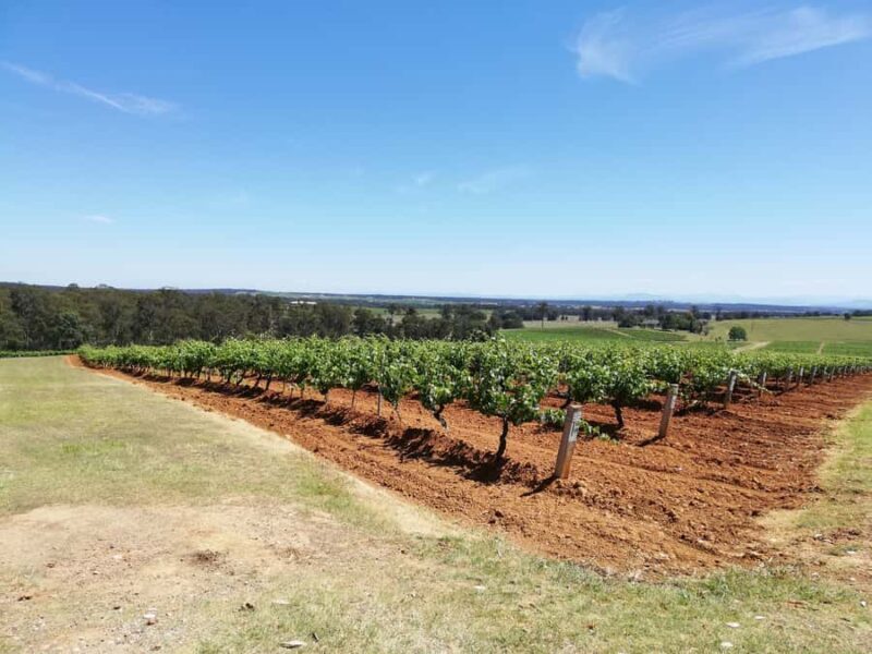 Sydney : Hunter Valley Private Wine, & Cheese Day Tour - Who Will Love This Tour?