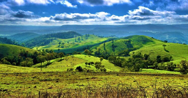 Sydney: Jenolan Caves Blue Mountains Day Tour & River Cruise - Tour Itinerary Overview