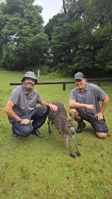 Sydney: Jervis Bay Day Trip with Dolphins, Roos & Beach Time - The Sum Up