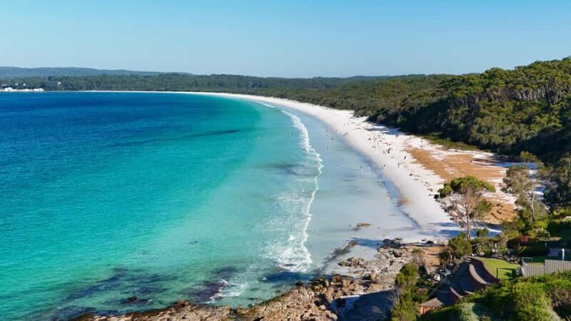 Sydney: Jervis Bay & South Coast Small Group Wild Kangaroos - Final Thoughts