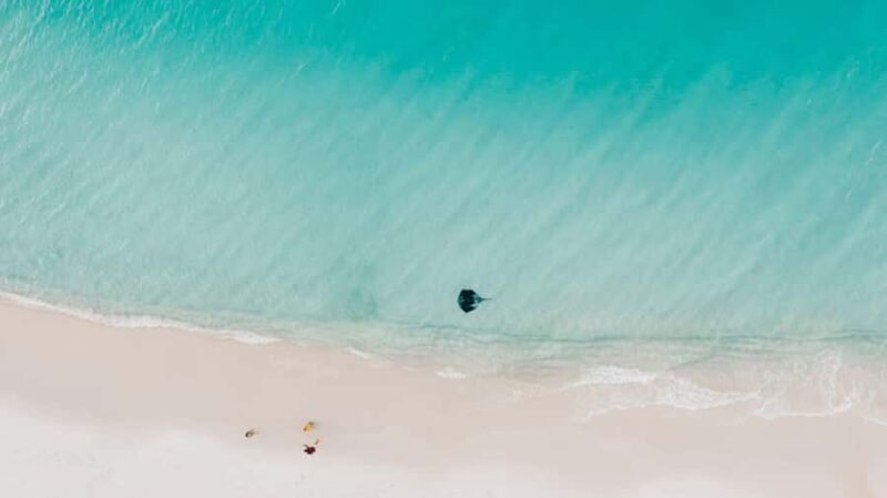 Sydney: Jervis Bay Tour with Beaches, Koalas & Kangaroos - In-Depth Look at the Tour Experience