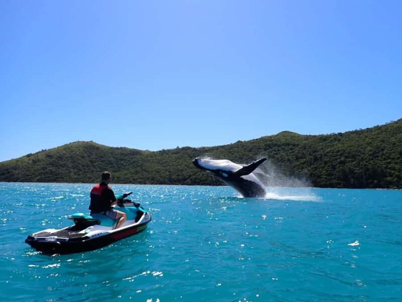 Sydney: Jet Ski Rental with Snorkeling Gear - Good To Know