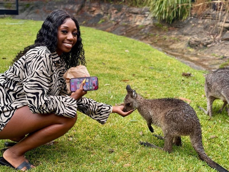 Sydney - Koalas, Kangaroos, Boomerangs & Aussie BBQ Day Trip - From Sydney to the Australian Reptile Park