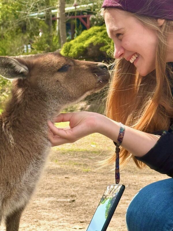 Sydney - Koalas, Kangaroos, Boomerangs & Aussie BBQ Day Trip - Is the price good value?