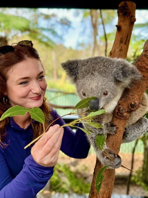 Sydney - Koalas, Kangaroos, Boomerangs & Aussie BBQ Day Trip - Who will enjoy this outing most?