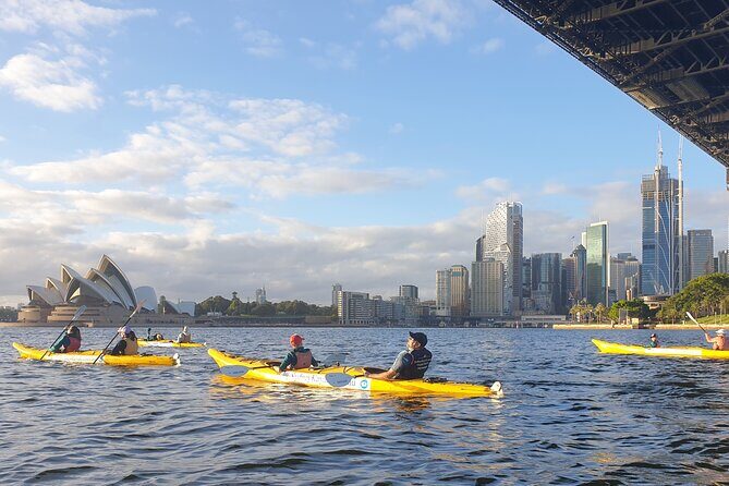 Sydney LED Lit Kayak Tour of the Opera House and Bridge - Practical Tips for Your Kayaking Adventure