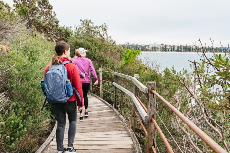Sydney: Manly and Shelly Beach Snorkeling Tour - The Sum Up: Is It Worth It?  
