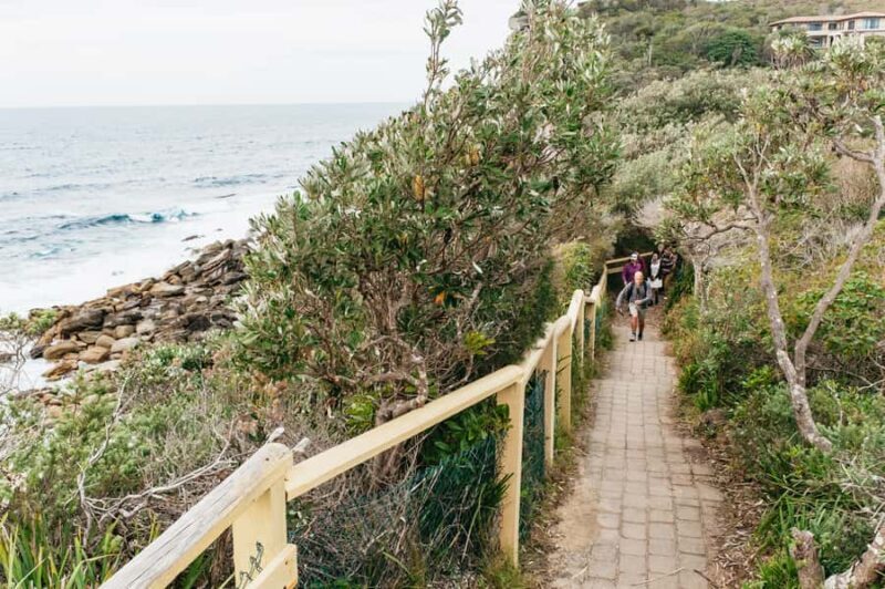 Sydney: Manly and Shelly Beach Snorkeling Tour - FAQs
