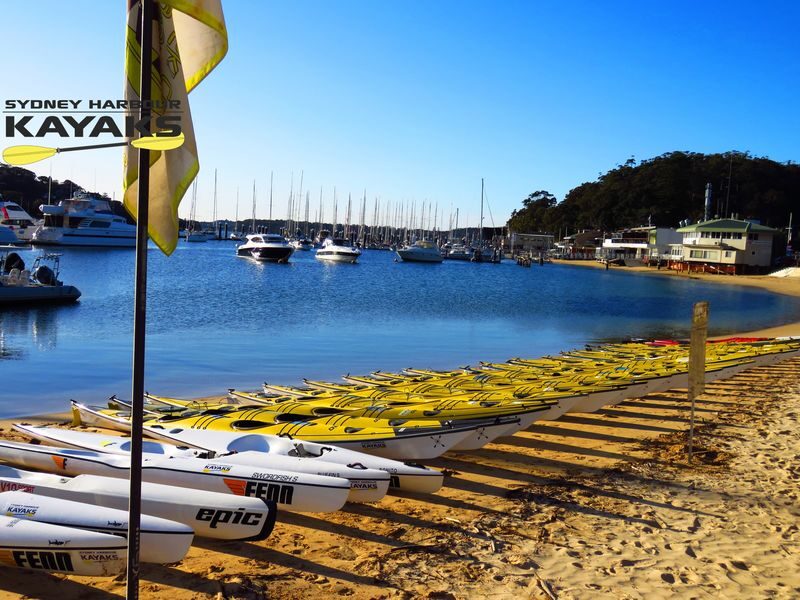 Sydney Middle Harbour Double Kayak Hire by Sydney Harbour Kayaks - Finding your own beach stop