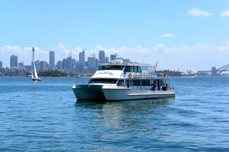 Sydney: Morning Sightseeing Bus to Bondi with Lunch Cruise - Good To Know