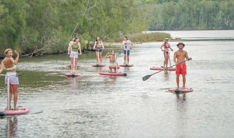 Sydney: Narrabeen Lagoon SUP Tour with Instructor - Introduction