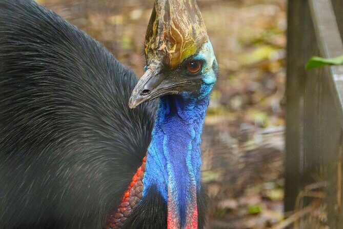 Sydney Opera House and Aussie Animals Private Tour - Who is this tour best suited for?