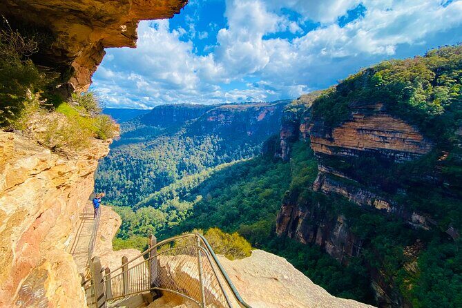 Sydney: PRIVATE Blue Mountains, Wildlife & Cruise Luxe Tour (10h) - Who Will Love This Tour?