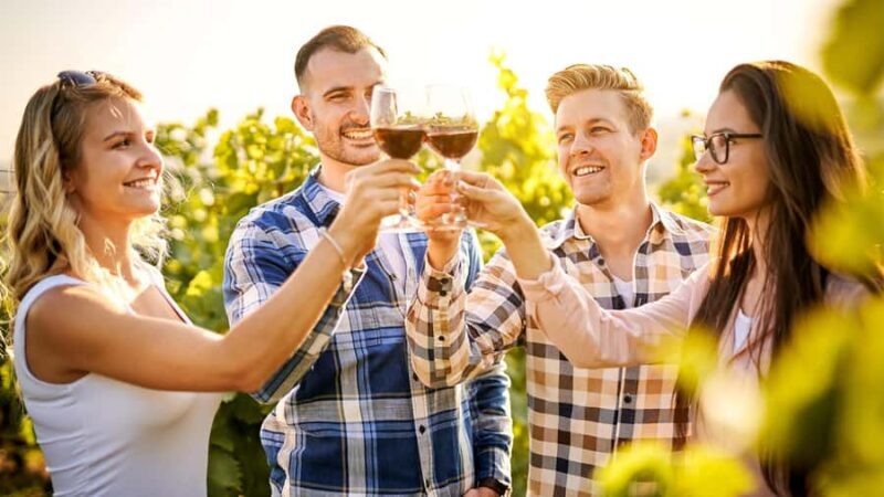 Sydney: Private Hunter Valley Premium Wine Tasting Luxe Tour - Introduction: What to Expect from This Hunter Valley Experience