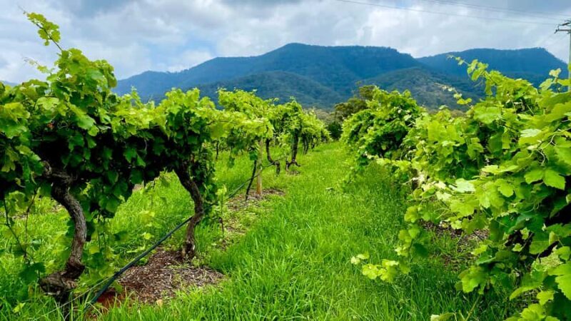 Sydney: Private Hunter Valley Premium Wine Tasting Luxe Tour - FAQ