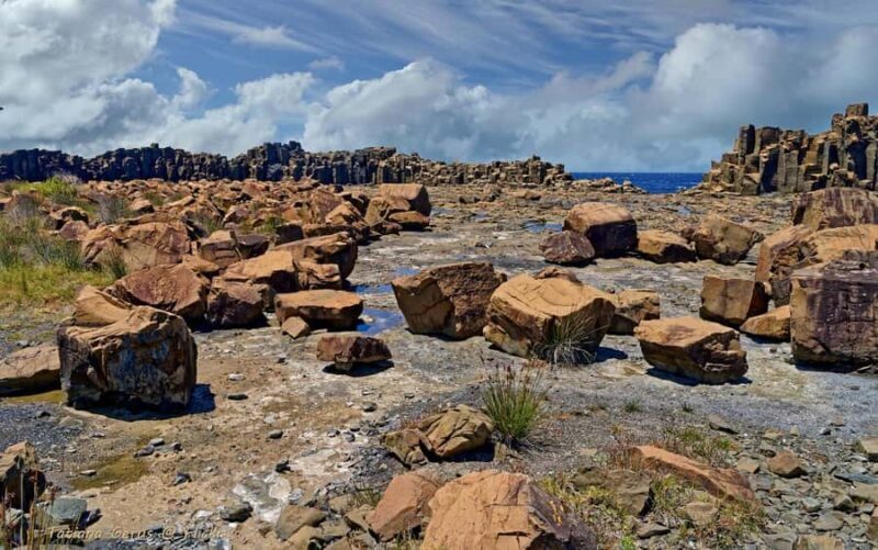 Sydney: Private South Coast, Highlands and Kiama Tour - Who Is This Tour Best For?