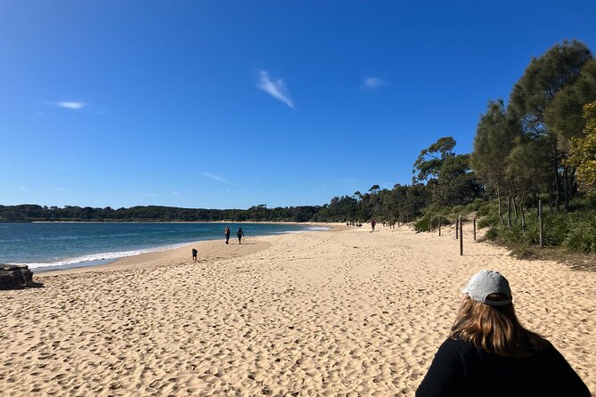 Sydney Private Tour Inc The Royal National Park and Symbio Zoo - Pricing and Booking Information