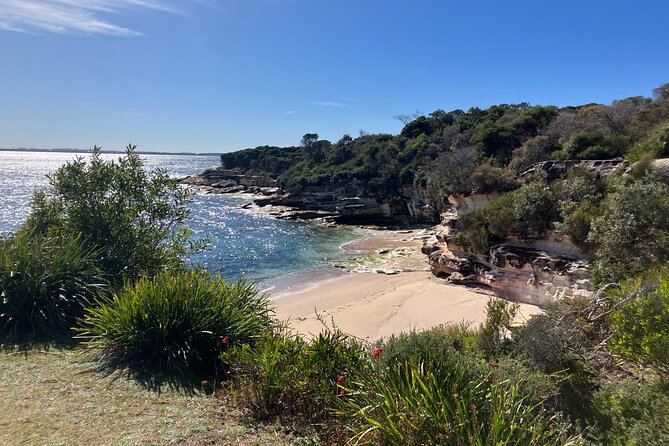 Sydney Private Tour Inc The Royal National Park and Symbio Zoo - The Sum Up