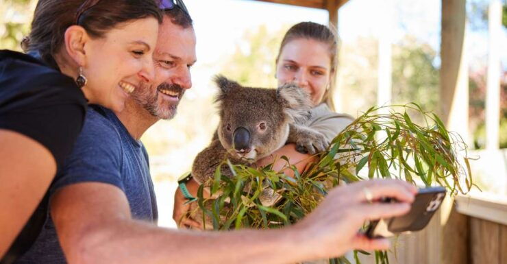 Sydney: Private Wildlife, Waterfalls and Wine Tour - Experience Highlights