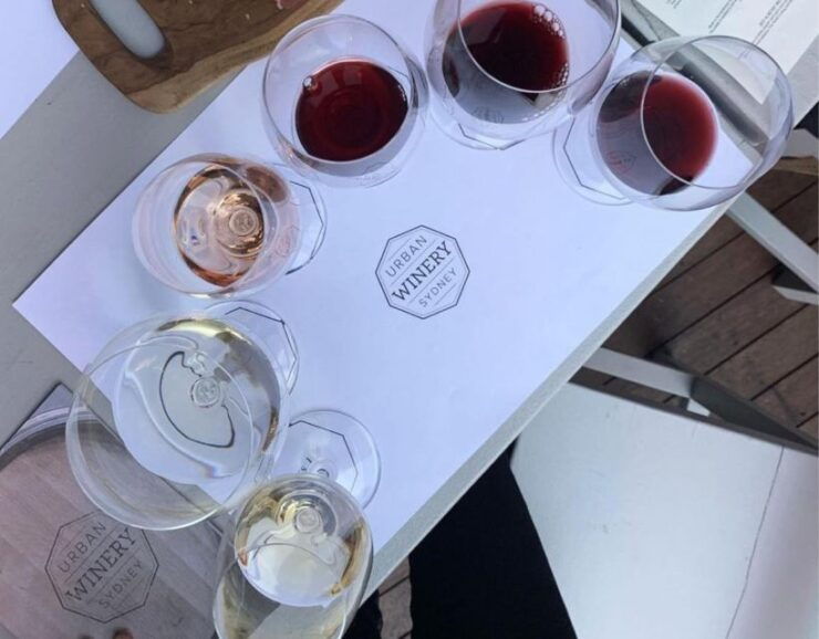Sydney: Private Wine Tour and Tasting - Experience Highlights