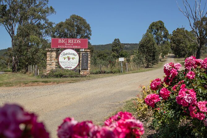 Sydney: Private Wine tour - Hunter Valley & Wollombi Valley - Who Is This Experience Best For?