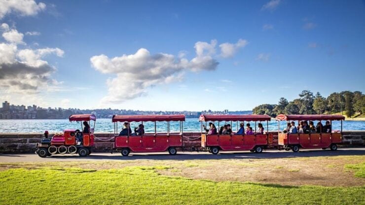 Sydney: Royal Botanic Gardens Smartphone Scavenger Hunt - Activity Experience