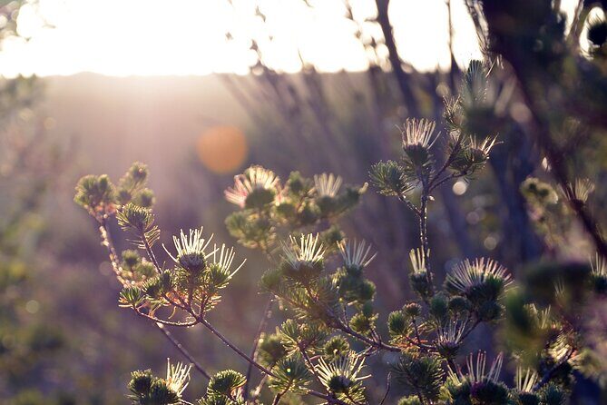 Sydney: Royal National Park Day Trip with Picnic and Swim - FAQs