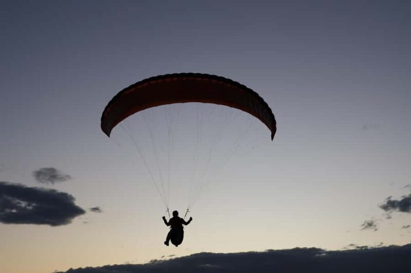 Sydney: Royal National Park private day tour - The Sum Up