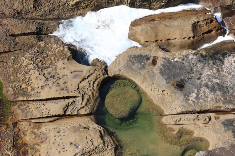 Sydney: Royal National Park private day tour - FAQ