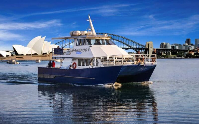 Sydney: Scenic Whale Watching Cruise - Whales Guaranteed - Final Thoughts