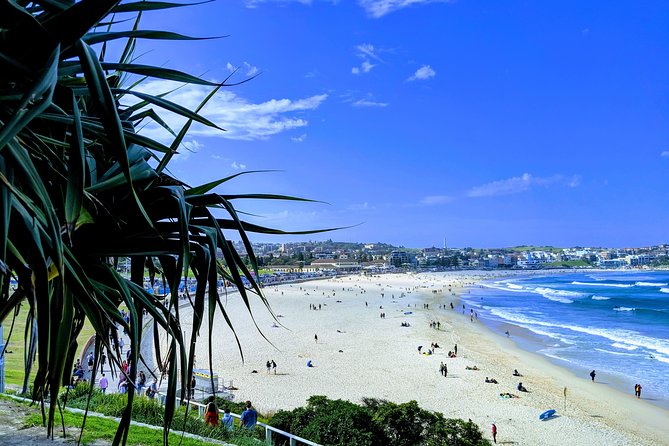 Sydney Secrets and Bondi Beach 4 HOUR AFTERNOON PRIVATE TOUR - Convenient Pickup and Drop-off