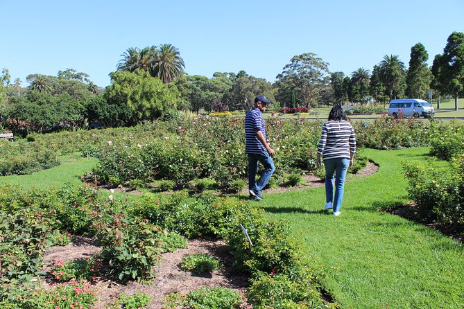 Sydney Shore Excursion: Half-Day Sydney City Highlights and Manly - Cancellation Policy