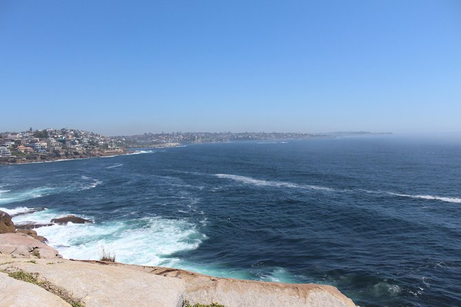 Sydney Shore Excursion: Half-Day Sydney City Highlights With Bondi Beach and Watsons Bay - Reviews