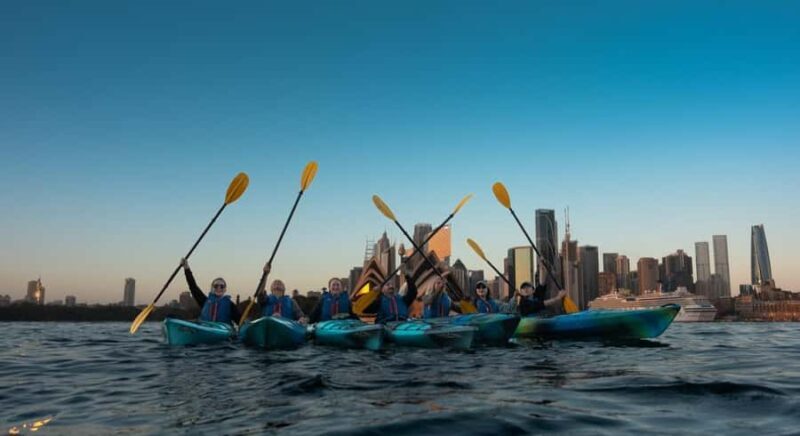 Sydney Sunrise Kayak Tour on Sydney Harbour - Final Thoughts