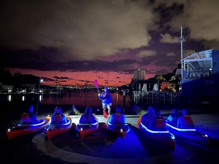 Sydney: Sunrise Kayak Tour on Sydney Harbour - Experience Highlights