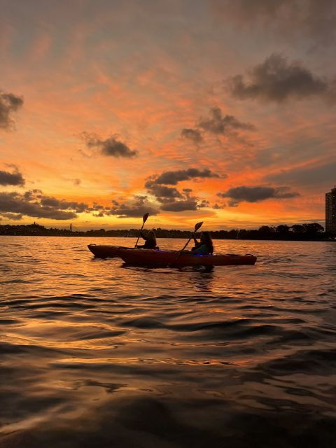 Sydney: Sunset Kayak Tour on Sydney Harbour - Activity Details