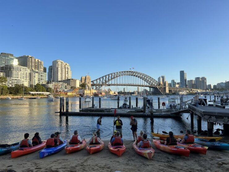 Sydney: Sunset Kayak Tour on Sydney Harbour - Experience Highlights