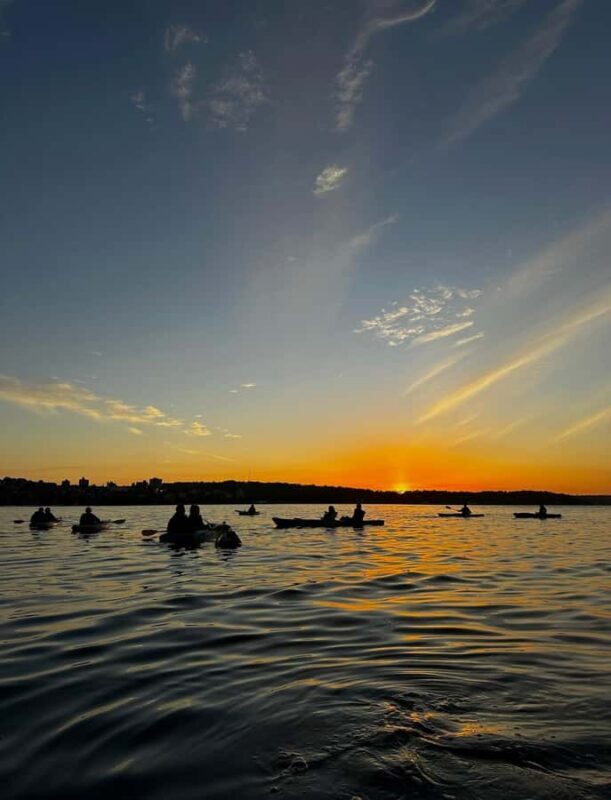 Sydney: Sunset Kayak Tour with Opera House Views - An Authentic Look at the Sunset Kayak Tour