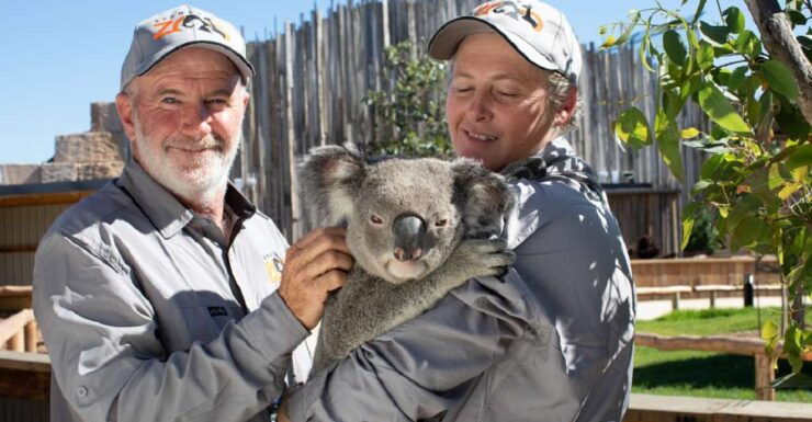 Sydney: Sydney Zoo Admission Ticket - Experience