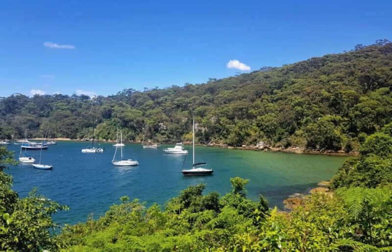 Sydney: Taronga to Balmoral Walk with picnic at Balmoral - Why This Tour Could Be Your Ideal Sydney Day Out