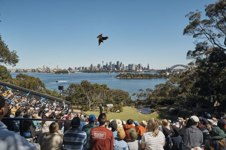 Sydney: Taronga Zoo & 24 or 48hr Sydney Harbour Hopper Pass - Ticket Information