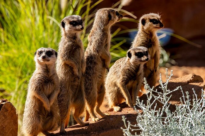 Sydney Taronga Zoo General Entry Ticket - Location and Accessibility