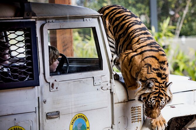 Sydney Taronga Zoo General Entry Ticket - Ticket Confirmation and Booking Information