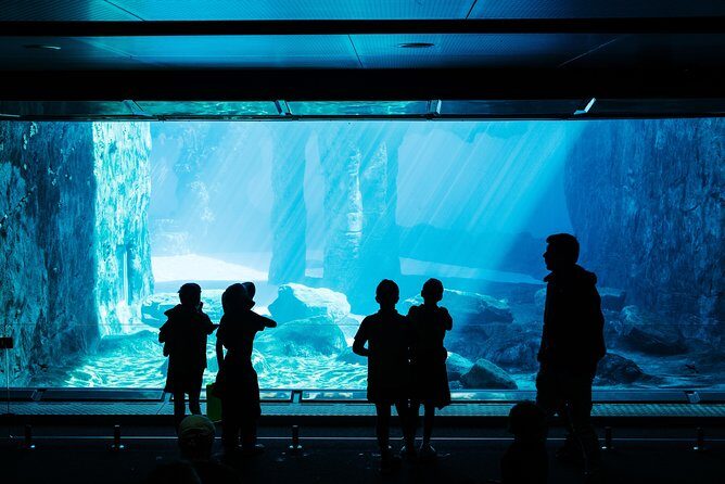 Sydney Taronga Zoo Wild Australia Experience - FAQ