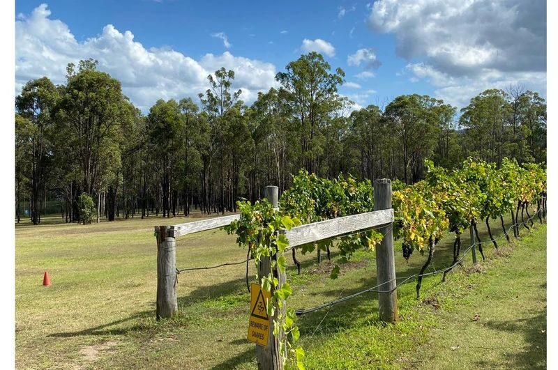 Sydney to Hunter Valley: A Chef-Led Food and Wine Experience - Is the price worth it?
