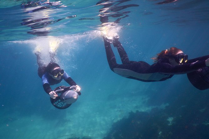 Sydney Underwater Scooter Tours - Tour Overview
