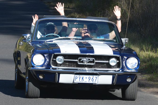 Sydney Vintage Car Ride Over Bridges Experience - Meeting and Pickup Information