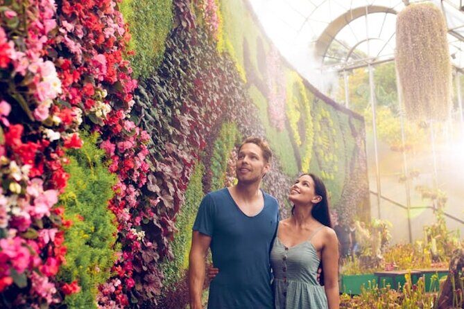 Sydney Walking Tour Groups - Hidden Gems - What Makes This Tour Stand Out